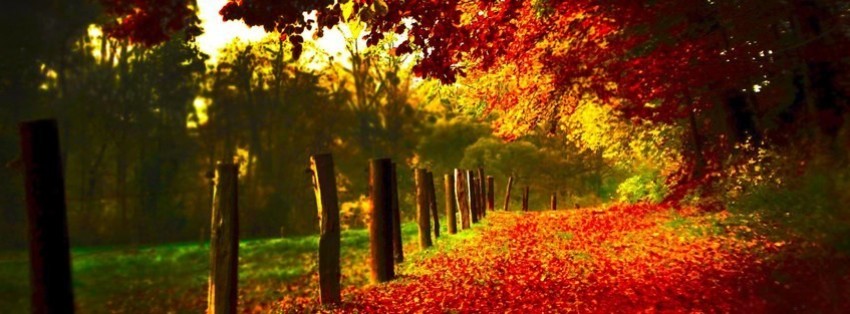 autumn Facebook Cover timeline photo banner for fb